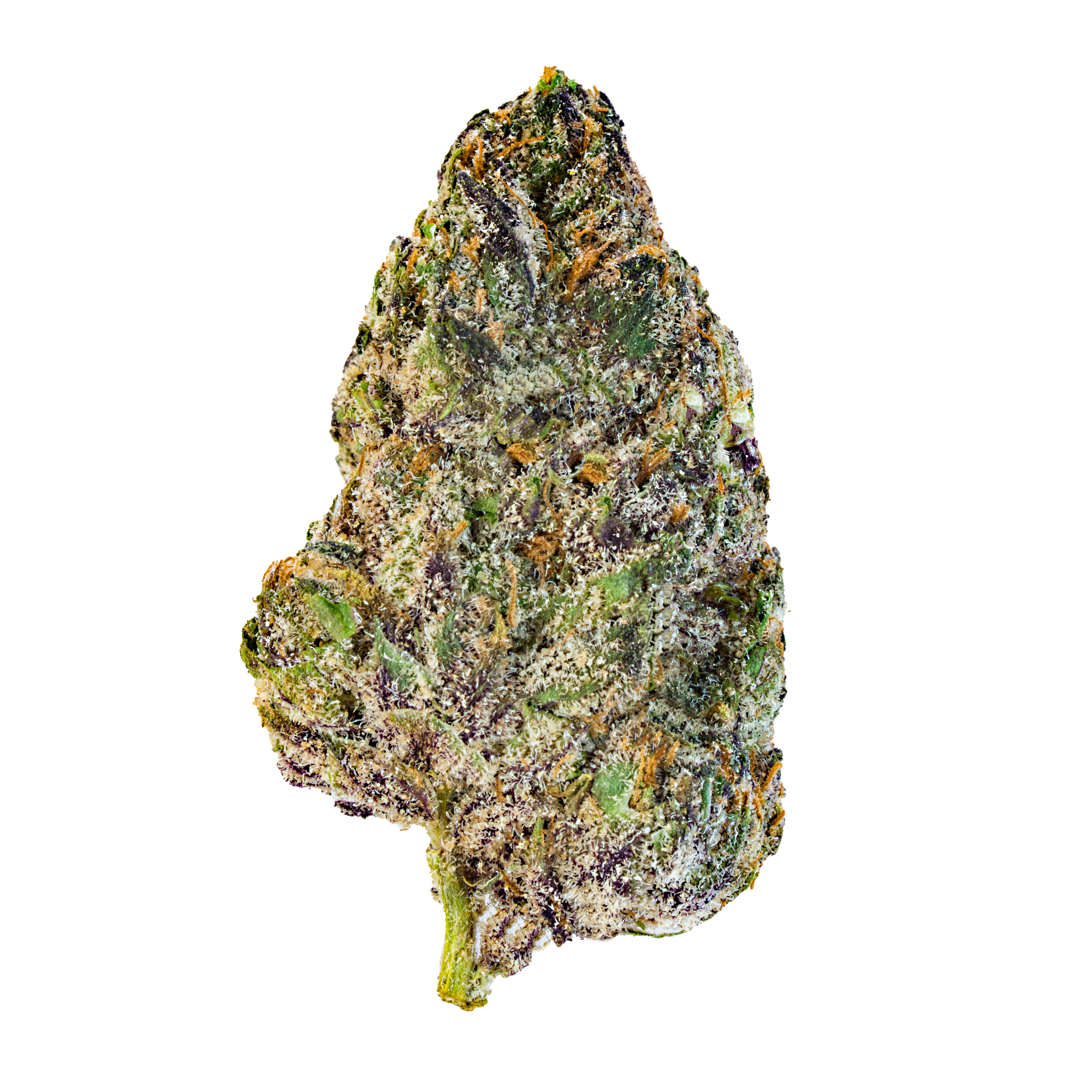 Bubblegum Popperz