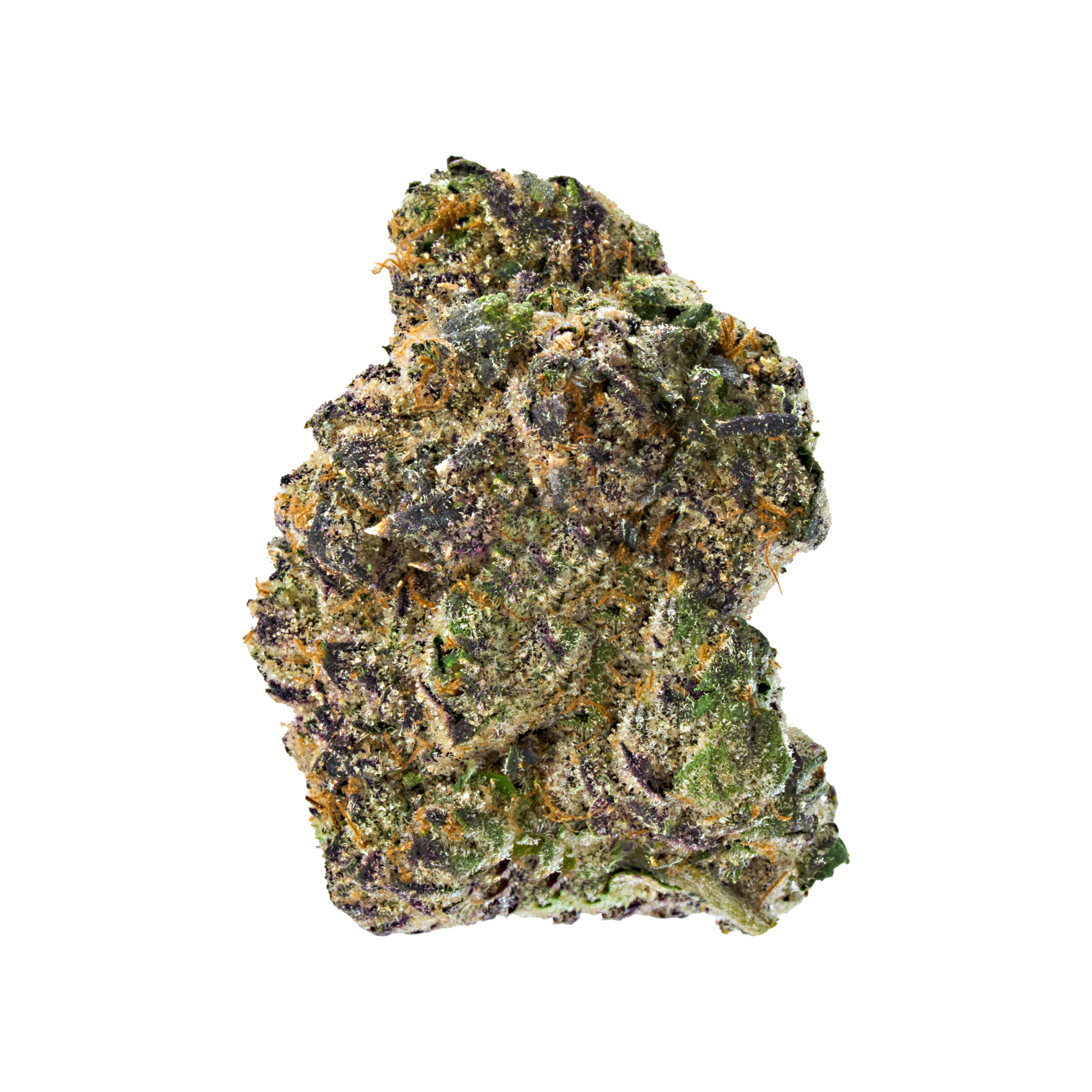 Apple Fritter